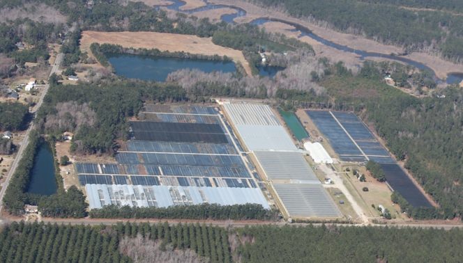 Aerial view of a greenhouse production facility