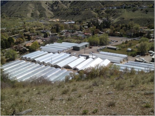 Rudy and Sons Greenhouses in Logan, Utah