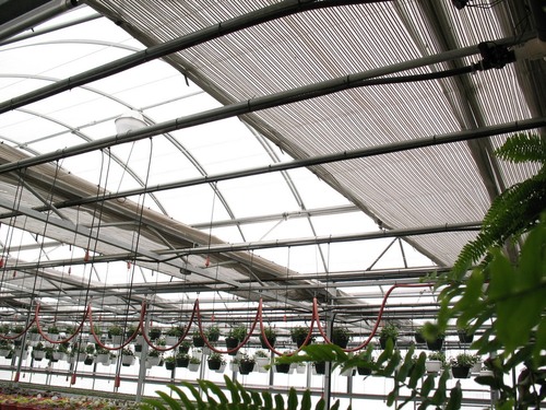 Shade curtains to help cool greenhouses in summer