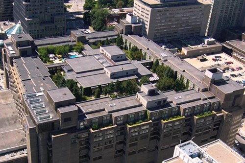 Jardinage sur le toit du Hilton Place Bonaventure à Montréal