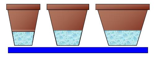 Même hauteur de substrat, diamètre de pot différent de PRO-MIX Greenhouse Growing