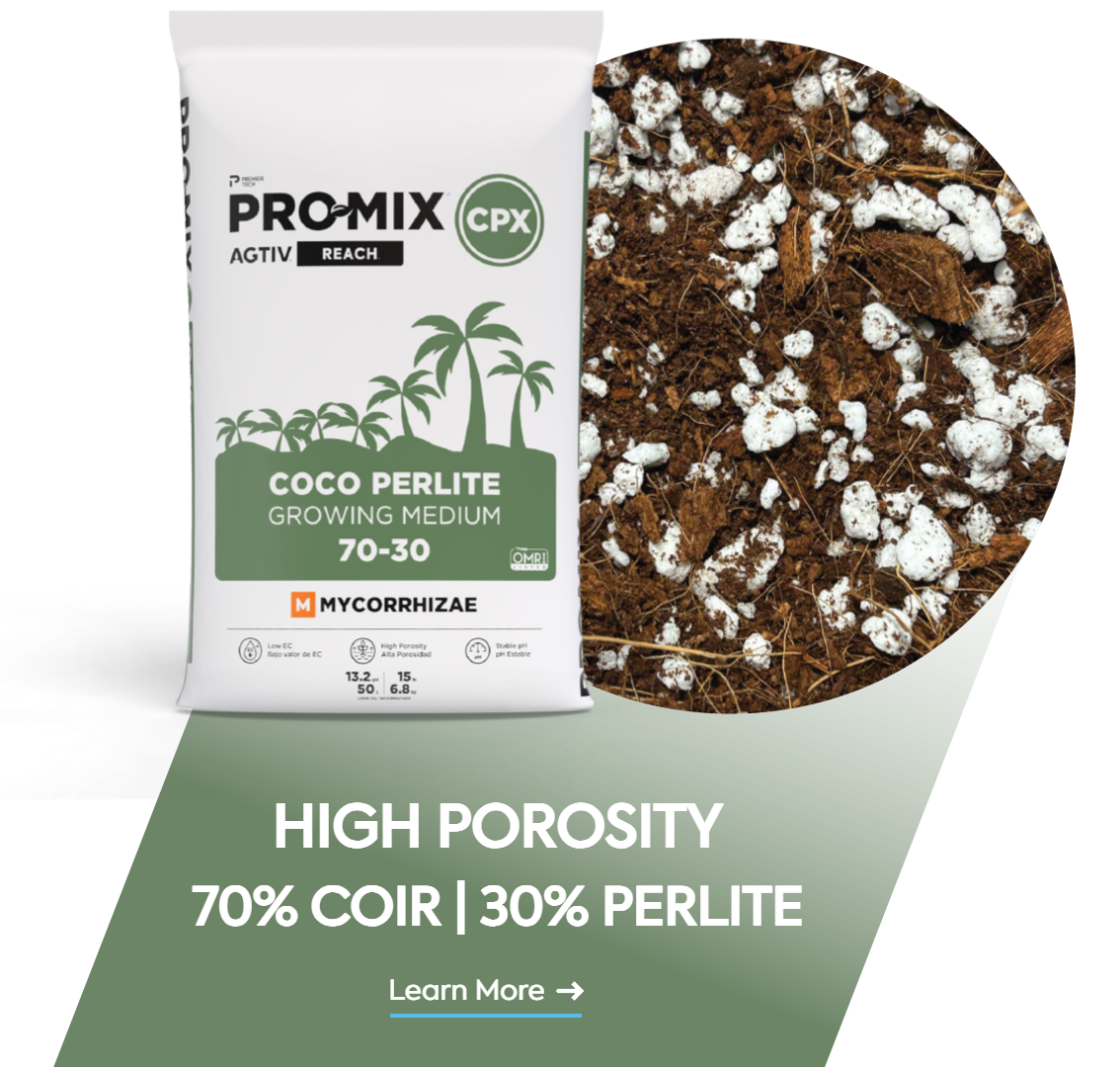 PRO-MIX CPX High porosity