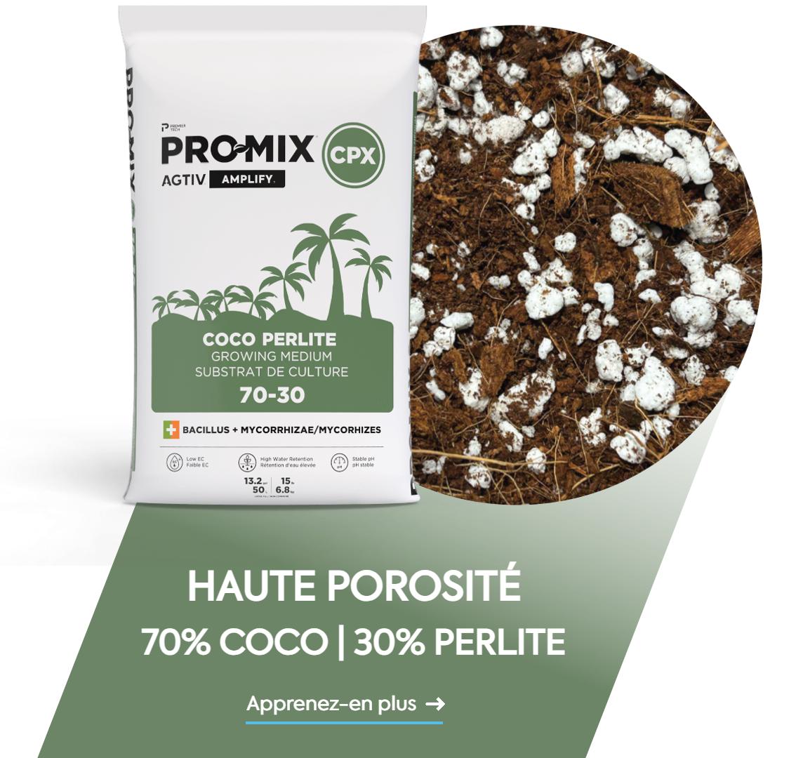 PRO-MIX CPX substrat coco haute porosité