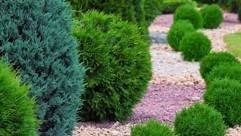 Turf and landscaping