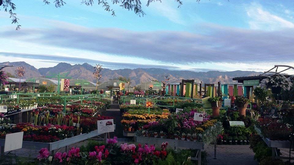 Mesquite Valley Growers Nursery Overview