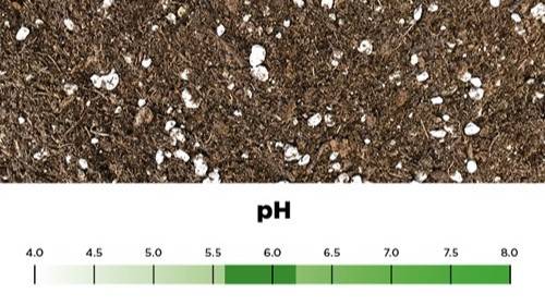 Growing media beside ph scale