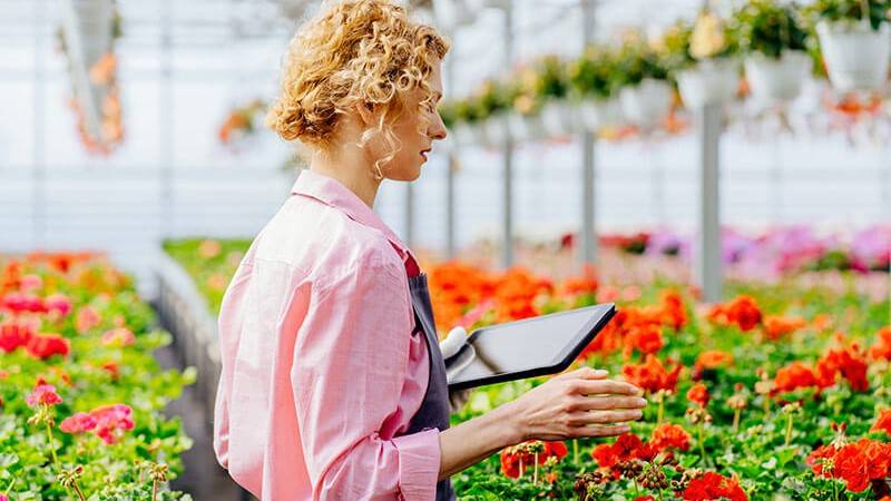 Woman in a greenhouse