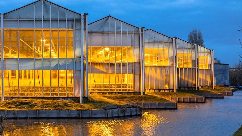 Greenhouse in the evening