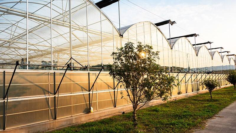 promix greenhouse growing tips for efficient energy conservation in a greenhouse 