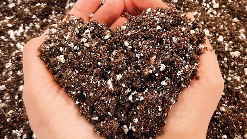 heart shaped soil