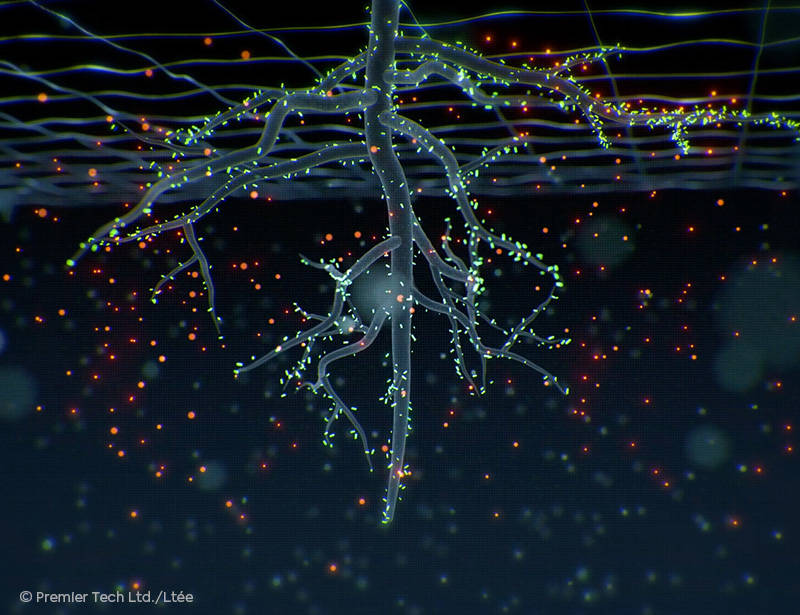 AGTIV AMPLIFY - Bacillus Mycorrhizae