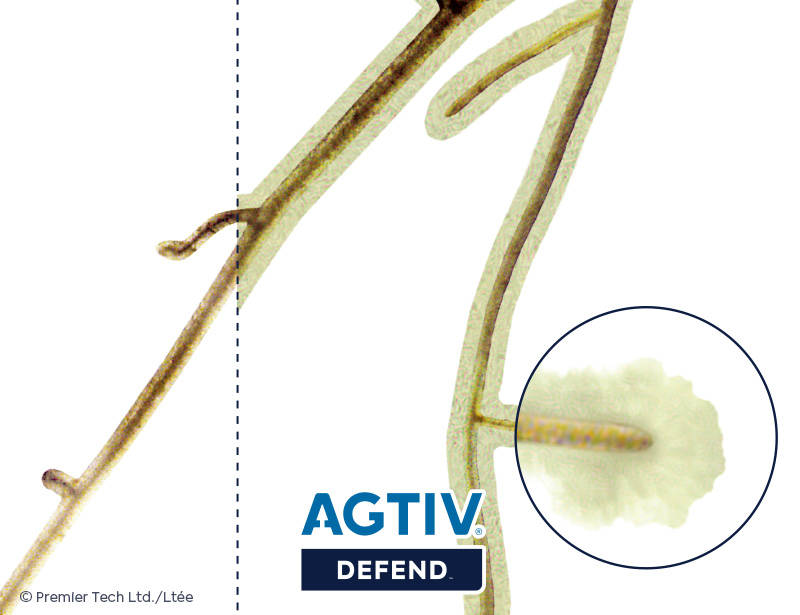 AGTIV DEFEND - Comparison