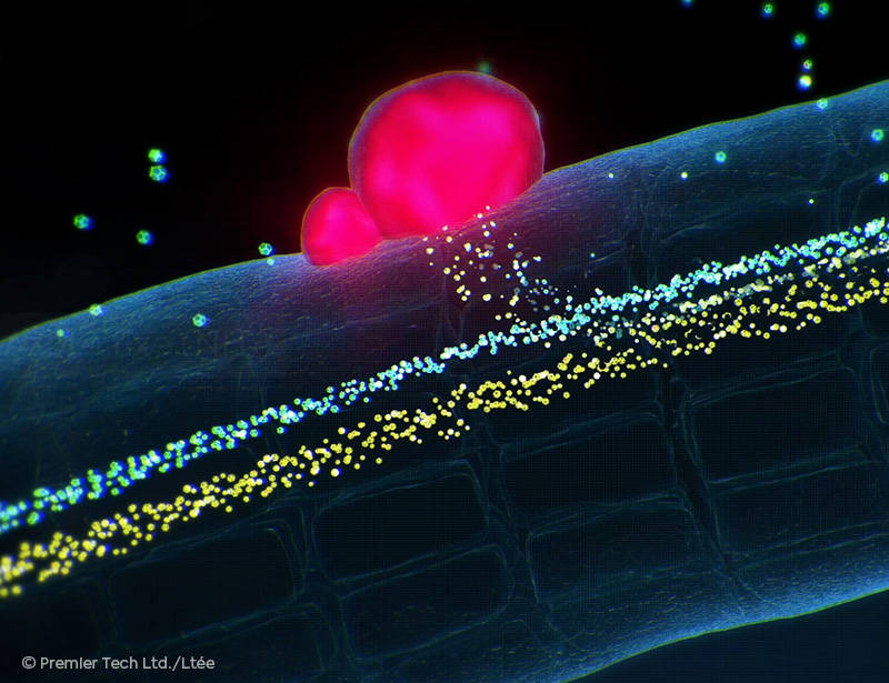 AGTIV FUEL - Nodules Animation