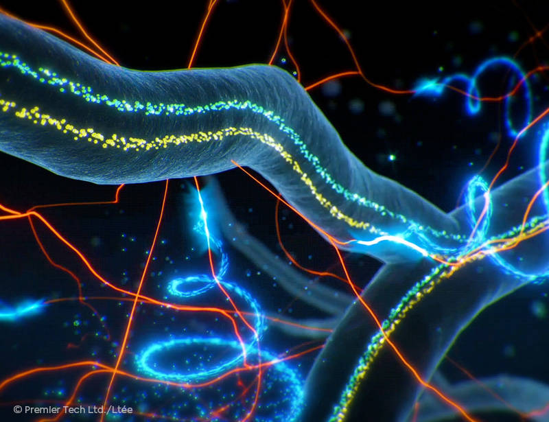 AGTIV REACH - Mycorrhizae roots animation